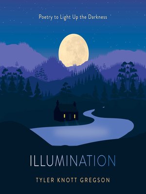 cover image of Illumination
